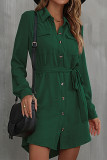 Casual Solid Frenulum Turndown Collar A Line Dresses