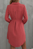 Casual Solid Frenulum Turndown Collar A Line Dresses