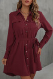 Casual Solid Frenulum Turndown Collar A Line Dresses