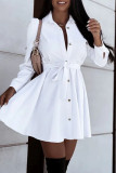Casual Simplicity Solid Frenulum Turndown Collar A Line Dresses