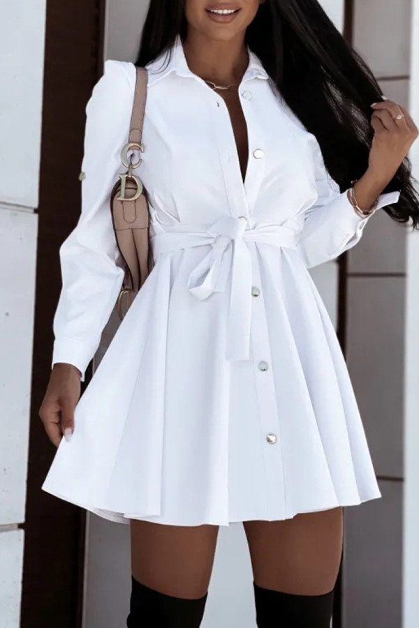 Casual Simplicity Solid Frenulum Turndown Collar A Line Dresses