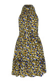 Sweet Elegant Print Bandage Halter Pleated Dresses
