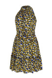 Sweet Elegant Print Bandage Halter Pleated Dresses