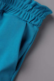 Casual Vacation Solid Solid Color Turndown Collar Long Sleeve Two Pieces