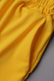 Casual Vacation Solid Solid Color Turndown Collar Long Sleeve Two Pieces