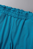 Casual Vacation Solid Solid Color Turndown Collar Long Sleeve Two Pieces
