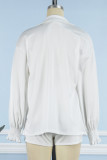 Casual Vacation Solid Solid Color Turndown Collar Long Sleeve Two Pieces
