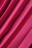 Sexy Simplicity Solid Frenulum Halter Pleated Dresses