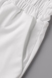 Casual Vacation Solid Solid Color Turndown Collar Long Sleeve Two Pieces