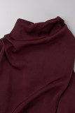 Celebrities Simplicity Solid Zipper Half A Turtleneck A Line Dresses