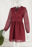 Sexy Elegant Solid Hollowed Out Mesh V Neck A Line Dresses