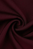 Celebrities Simplicity Solid Zipper Half A Turtleneck A Line Dresses