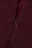 Celebrities Simplicity Solid Zipper Half A Turtleneck A Line Dresses