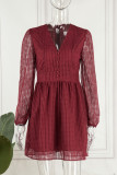 Sexy Elegant Solid Hollowed Out Mesh V Neck A Line Dresses
