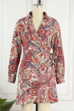 Bohemian Elegant Print Frenulum V Neck A Line Dresses