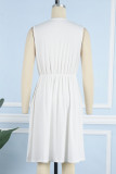 Casual Street Solid Pocket V Neck A Line Dresses