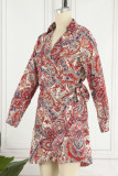 Bohemian Elegant Print Frenulum V Neck A Line Dresses