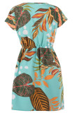 Casual Vacation Floral Frenulum V Neck Short Sleeve Dress