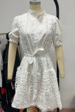 Sweet Elegant Solid Hollowed Out Frenulum Mandarin Collar Princess Dresses