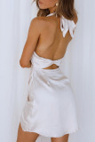Celebrities Elegant Solid Backless Solid Color Halter One Step Skirt Dresses