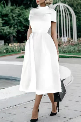 Celebrities Elegant Solid Solid Color O Neck Waist Skirt Dresses