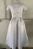 Celebrities Elegant Solid Solid Color O Neck Waist Skirt Dresses