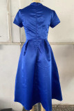 Celebrities Elegant Solid Solid Color O Neck Waist Skirt Dresses