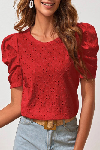 Casual Simplicity Solid Hollowed Out Fold O Neck T-Shirts