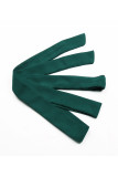 Elegant Solid Frenulum Fold O Neck Pleated Dresses