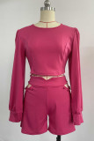 Casual Solid Buttons O Neck Long Sleeve Two Pieces