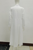 Elegant Solid Frenulum Turndown Collar Shirt Dress Dresses