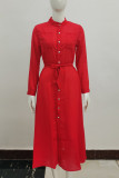 Elegant Solid Frenulum Turndown Collar Shirt Dress Dresses