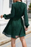 Elegant Solid Frenulum Turtleneck A Line Dresses