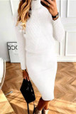 Casual Solid Turtleneck Long Sleeve Two Pieces