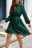 Elegant Solid Frenulum Turtleneck A Line Dresses
