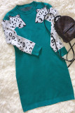 Casual Print Contrast Dresses