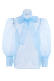 Sexy Solid See-through With Bow Half A Turtleneck Tops