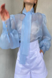 Sexy Solid See-through With Bow Half A Turtleneck Tops