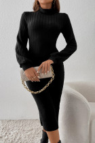 Celebrities Elegant Solid Turtleneck One Step Skirt Dresses