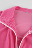 Casual Street Solid Zipper Turndown Collar Long Sleeve Two Pieces