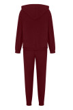 Casual Solid Zipper Hooded Collar Long Sleeve Two Pieces