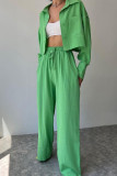 Casual Solid Frenulum Turndown Collar Long Sleeve Two Pieces