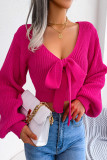 Sexy Solid With Bow V Neck Tops