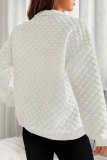 Casual Solid Zipper Turndown Collar Tops