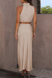Elegant Solid Stringy Selvedge Halter Sleeveless Two Pieces