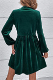 Elegant Solid Tassel Frenulum Mandarin Collar A Line Dresses