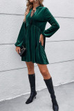 Elegant Solid Tassel Frenulum Mandarin Collar A Line Dresses