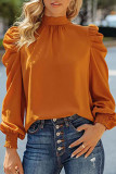 Elegant Solid Frenulum Fold Turtleneck Tops