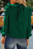 Elegant Solid Frenulum Fold Turtleneck Tops