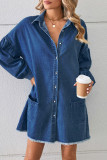 Casual Simplicity Solid Pocket Turndown Collar Long Sleeve Loose Denim Dresses